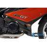Sabot moteur droit - BMW F 800 GT (2012-aujourd'hui) (F 800 GT (ab 2012) - Ilmberger Carbon
