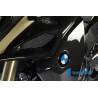 Cache radiateur / Cache boîte à air gauche – BMW F 800 GS AdvIlmberger Carbon