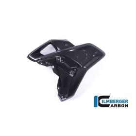 Chambre à air côté gauche BMW R 1200 GS MY à partir de 2017 (R 1200 GS (LC) ab 2017) - Ilmberger Carbon