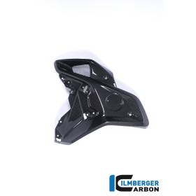 Chambre à air côté gauche BMW R 1200 GS MY à partir de 2017 (R 1200 GS (LC) ab 2017) - Ilmberger Carbon