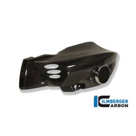 Tube d'air gauche - BMW K 1200 R (2005-2008) (K 1200 R (2005-2008) - Ilmberger Carbon