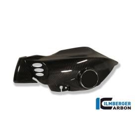 Tube d'air gauche - BMW K 1200 R (2005-2008) (K 1200 R (2005-2008) - Ilmberger Carbon