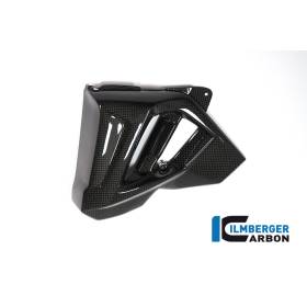 Cache radiateur (côté gauche) - BMW F 800 R (à partir de 2015) (F 800 R (ab 2015) - Ilmberger Carbon