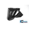 Cache radiateur (côté gauche) - BMW F 800 R (à partir de 2015) (F 800 R (ab 2015) - Ilmberger Carbon