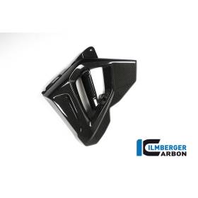 Cache radiateur (côté gauche) - BMW F 800 R (à partir de 2015) (F 800 R (ab 2015) - Ilmberger Carbon