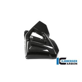 Cache radiateur (côté gauche) - BMW F 800 R (à partir de 2015) (F 800 R (ab 2015) - Ilmberger Carbon