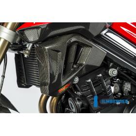 Cache radiateur (côté gauche) - BMW F 800 R (à partir de 2015) (F 800 R (ab 2015) - Ilmberger Carbon