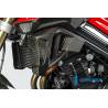 Cache radiateur (côté gauche) - BMW F 800 R (à partir de 2015) (F 800 R (ab 2015) - Ilmberger Carbon