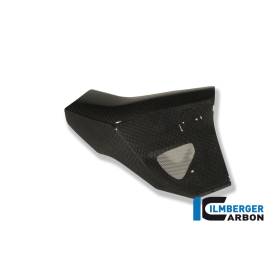 Cache radiateur côté droit - BMW F 800 R (2009-2011) (F 800 R (2009-2011) - Ilmberger Carbon