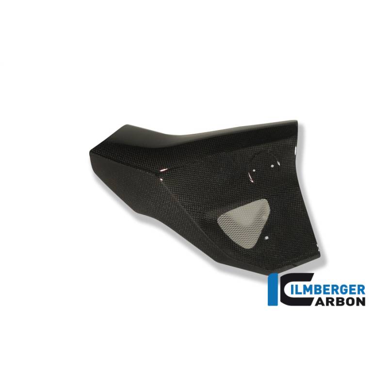 Cache radiateur côté droit - BMW F 800 R (2009-2011) (F 800 R (2009-2011) - Ilmberger Carbon Cache radiateur côté droit - BMW F 800 R (2009-2011) (F 800 R (2009-2011) - Ilmberger Carbon