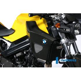Cache radiateur côté droit - BMW F 800 R (2009-2011) (F 800 R (2009-2011) - Ilmberger Carbon