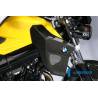 Cache radiateur côté droit - BMW F 800 R (2009-2011) (F 800 R (2009-2011) - Ilmberger Carbon