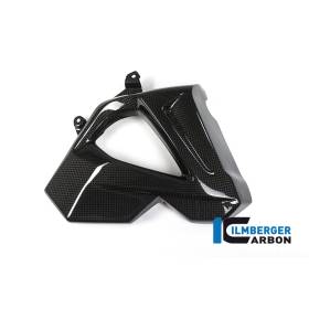 Cache radiateur (côté droit) - BMW F 800 R (à partir de 2015) (F 800 R (ab 2015) - Ilmberger Carbon