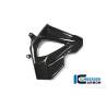 Cache radiateur (côté droit) - BMW F 800 R (à partir de 2015) (F 800 R (ab 2015) - Ilmberger Carbon