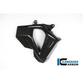 Cache radiateur (côté droit) - BMW F 800 R (à partir de 2015) (F 800 R (ab 2015) - Ilmberger Carbon