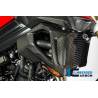 Cache radiateur (côté droit) - BMW F 800 R (à partir de 2015) (F 800 R (ab 2015) - Ilmberger Carbon