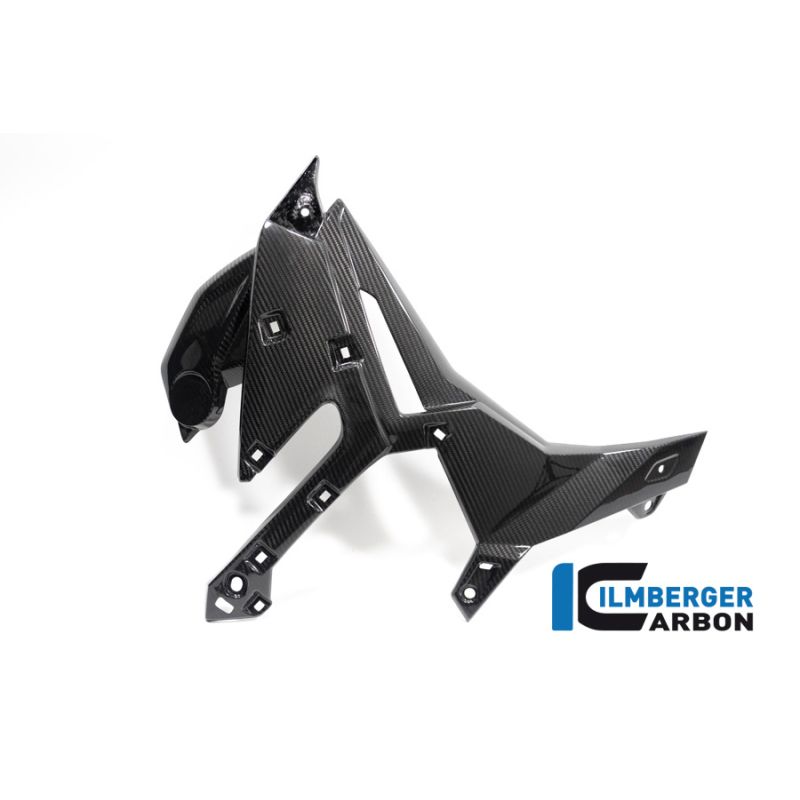 Cache radiateur côté droit BMW S1000R (21 -) - Ilmberger Carbon