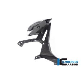 Cache radiateur côté droit BMW S1000R (21 -) - Ilmberger Carbon