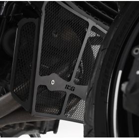 Grille de protection collecteur BMW F900R - RG Racing
