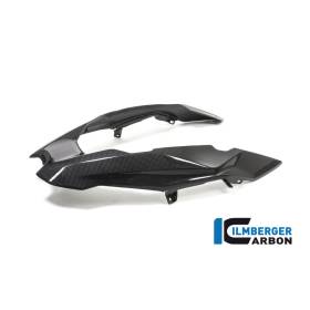 Transformation du bec BMW R1200GS LC 2017- / Ilmberger Carbone