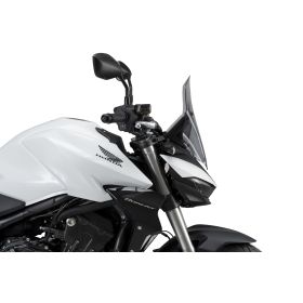 Bulle Touring Honda CB1000 Hornet (2025-) Puig 22382