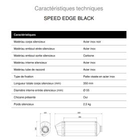 Silencieux homologué Triumph Tiger 900 (2024-) Speed Edge MIVV T.028.LRB
