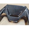 Extension de bec de fourche BMW R1300GS Adv - Ilmberger Carbon Brillant