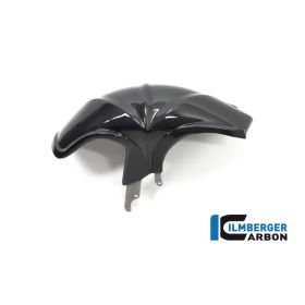 Garde Boue roue arrière BMW R1250GS - Ilmberger carbone