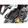 Garde Boue roue arrière BMW R1250GS - Ilmberger carbone