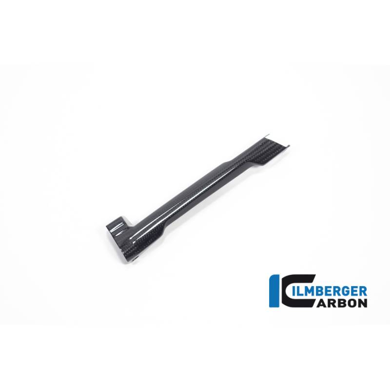 Cache de durite de frein brillant BMW R1300R / R1300RS - Ilmberger Carbon