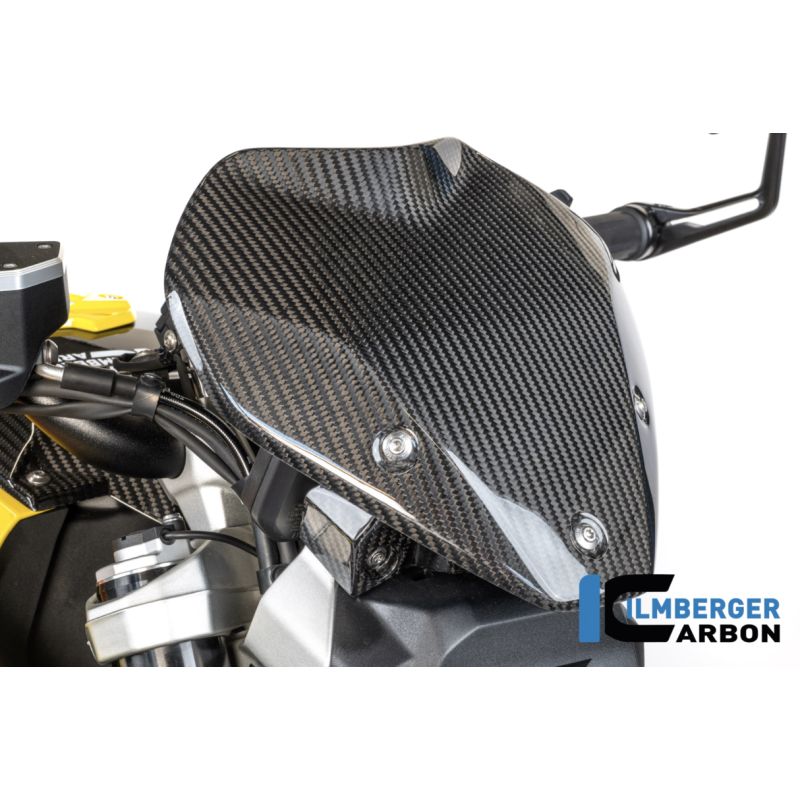 Pare-brise avec Support Carbone Brillant Ilmberger - BMW R1300R - CG.VEO.003.R130R