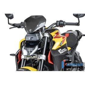Pare-brise avec Support Carbone Brillant Ilmberger - BMW R1300R - CG.VEO.003.R130R