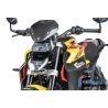 Pare-brise avec Support Carbone Brillant Ilmberger - BMW R1300R - CG.VEO.003.R130R