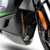 Grille de protection collecteur Kawasaki Ninja 1000SX/1100SX - RG RACING DG0063PROBK