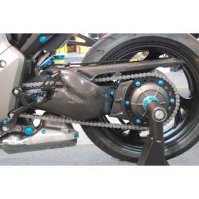 PROTECTION MONOBRAS CARBONE CB1000R LIGHTECH 013.Personnalisation – CARH7060 –  €