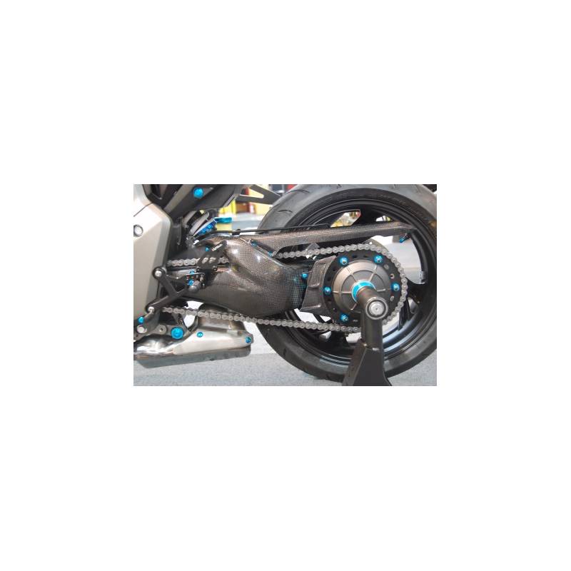 PROTECTION MONOBRAS CARBONE CB1000R LIGHTECH 013.Personnalisation – CARH7060 –  €