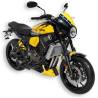 Tête de fourche Ermax 60th YAMAHA XSR900