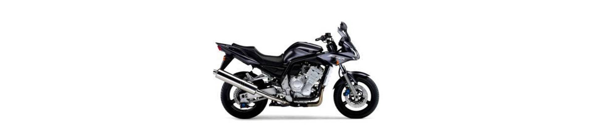 FZS 1000 FAZER