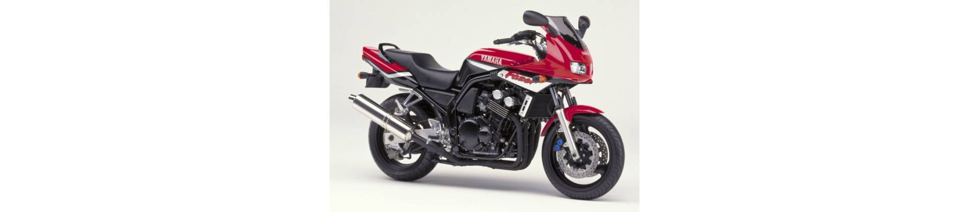 FZS 600 FAZER