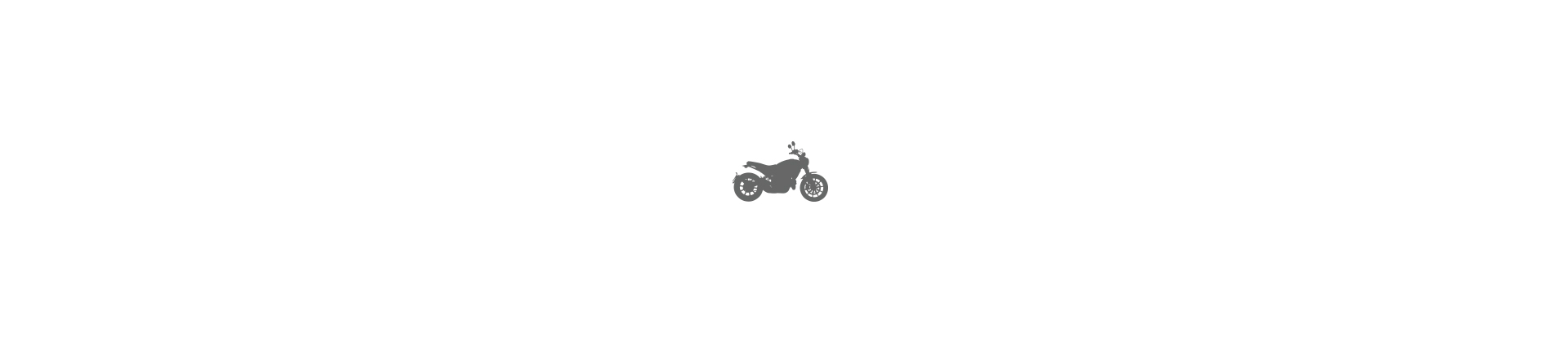 SCRAMBLER ICON 2019-2021