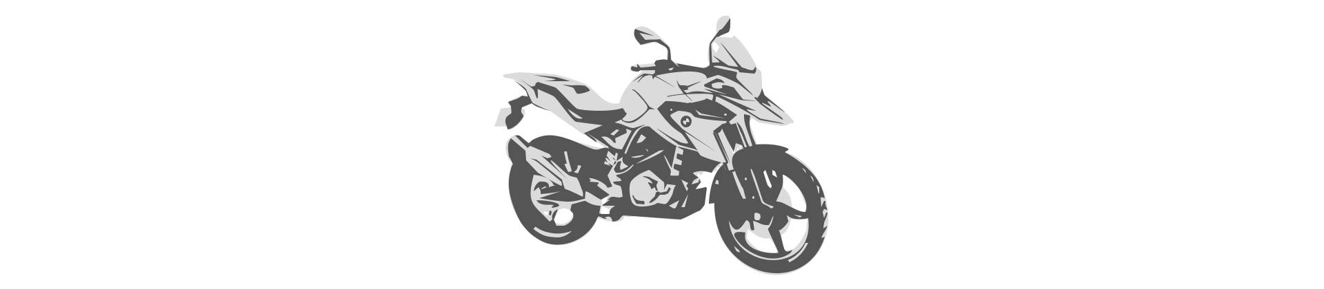 BMW G310GS