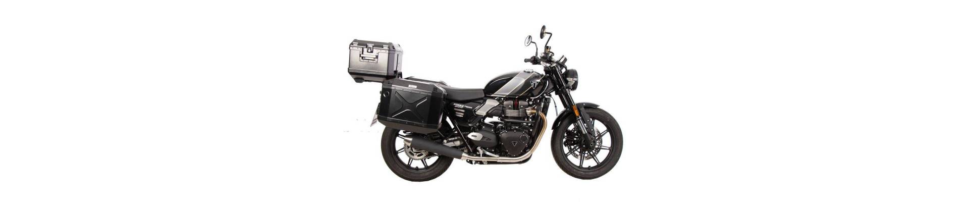 SPEED TWIN 900 2025-