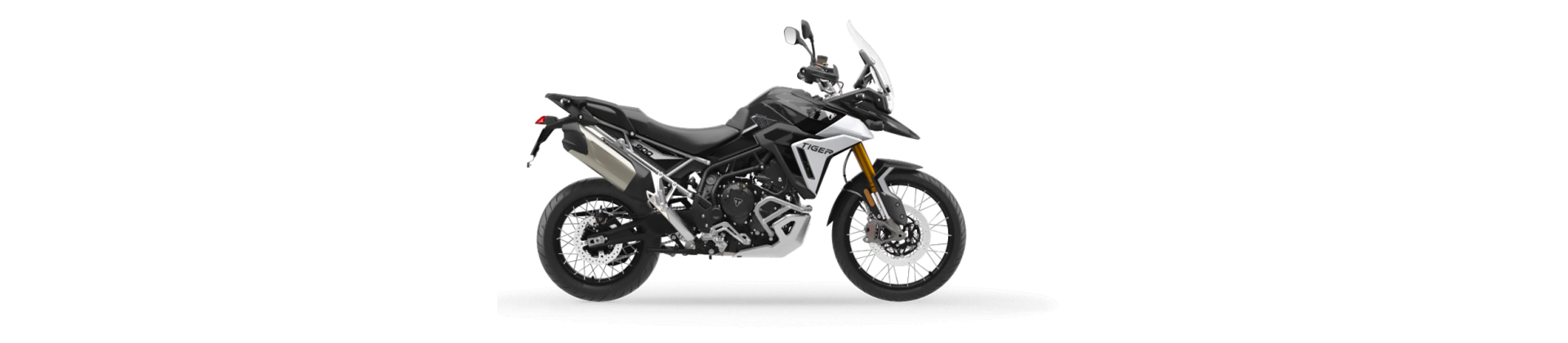 Tiger 900 Rally Pro