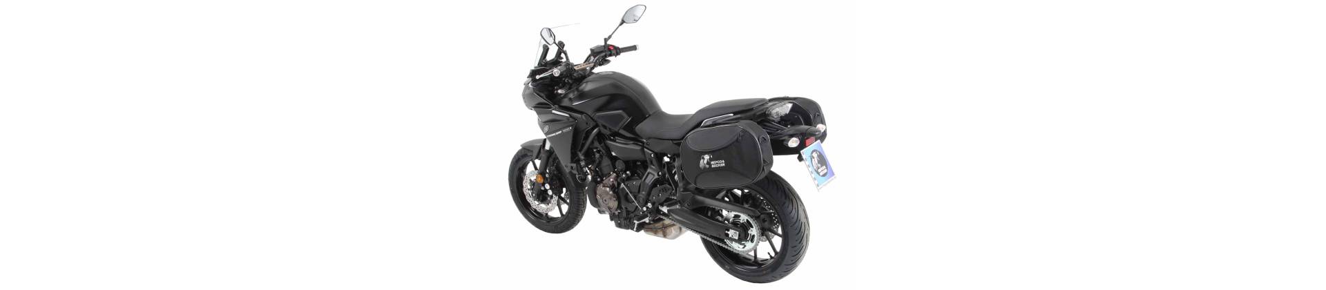 Tracer 7 / GT 2021-2025