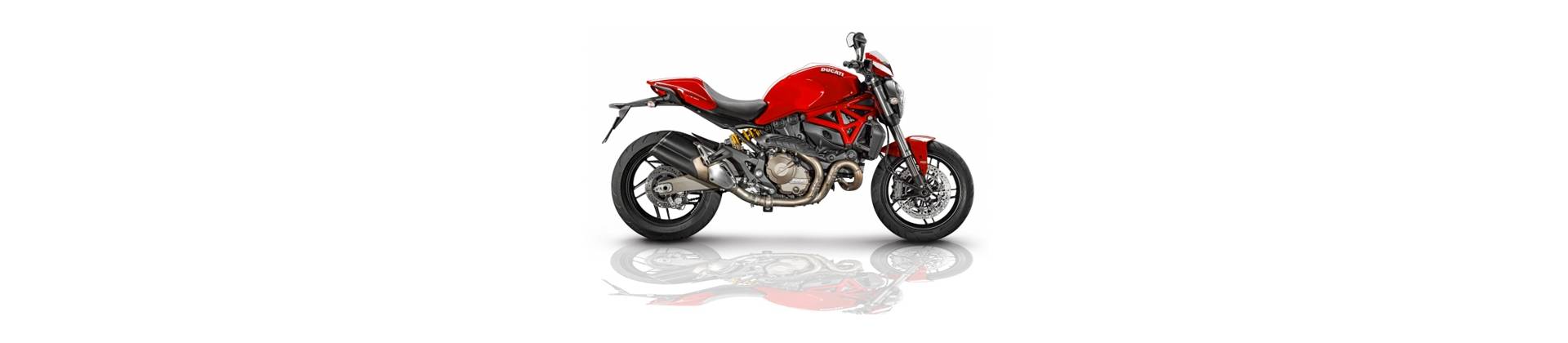 MONSTER 821 -2017