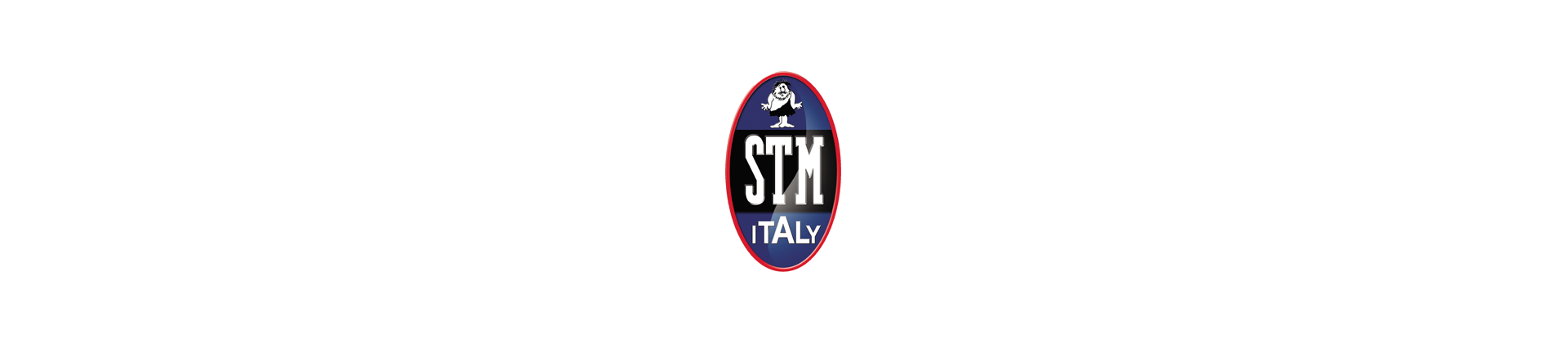 STM ITALY